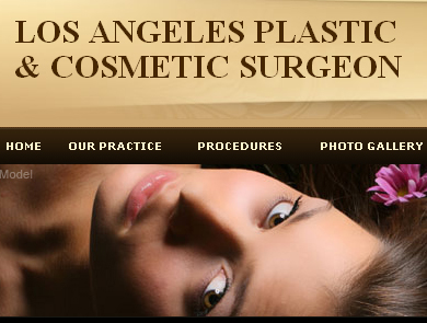Los Angeles Plastic Surgeon'