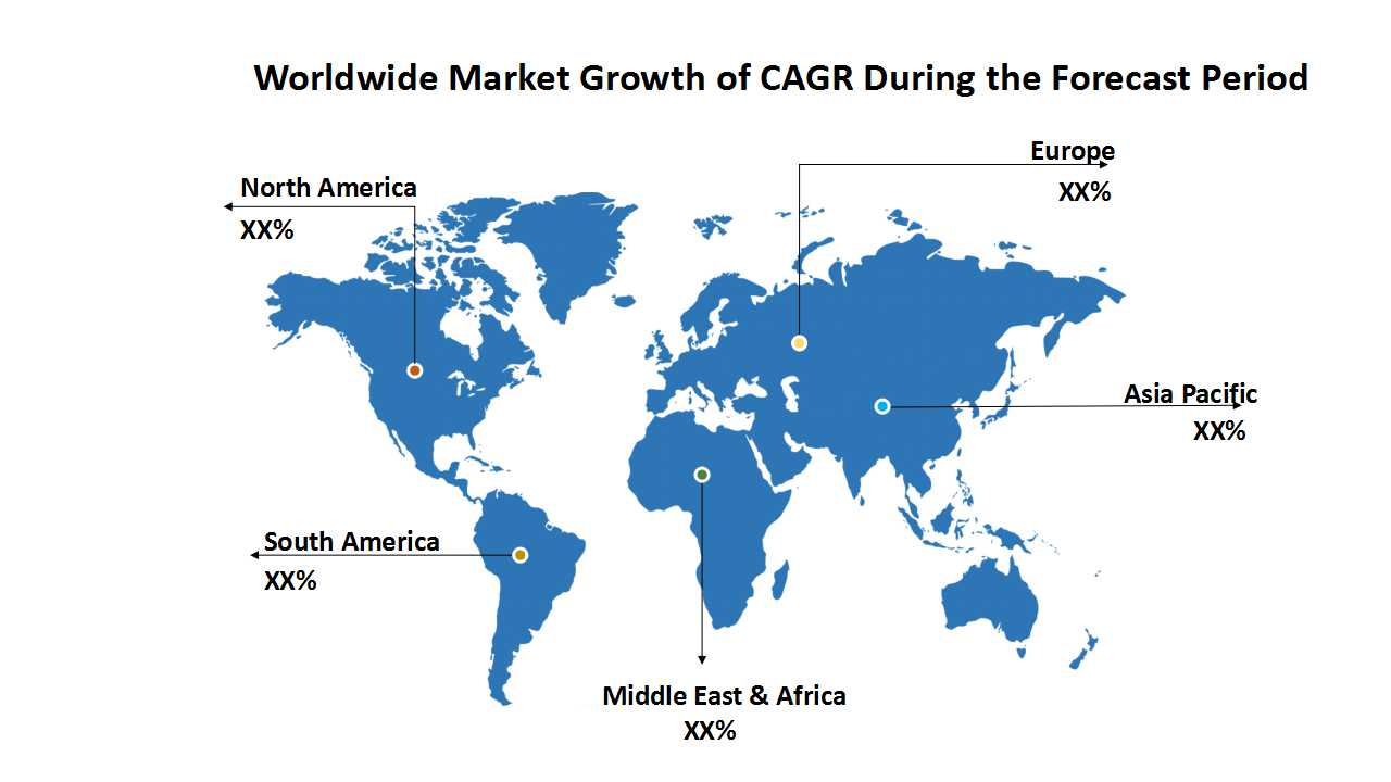 Sports Equipment and Accessories Market'