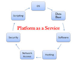Platform as a Service Market'