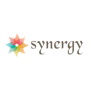 Company Logo For Synergy Yoga Center'