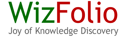 Logo for WizFolio'