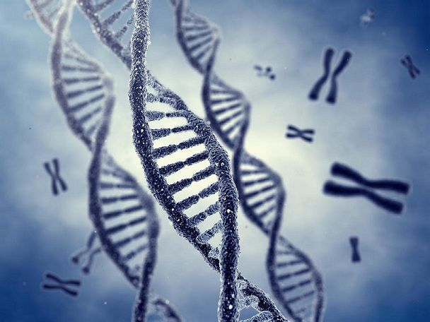 Next Generation Sequencing (NGS) Software Market'