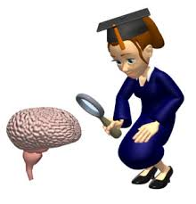 Global Brain-Based Learning Market Forecast 2018 &ndash;'