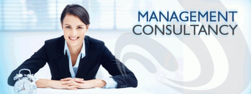 Management Consulting Services Market'