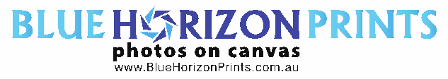 Company Logo For Blue Horizon Prints'