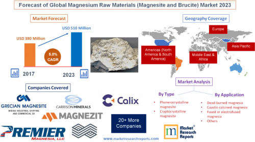 Forecast of Global Magnesium Raw Materials 2023'