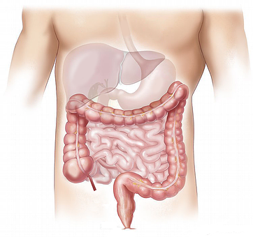 gastroenterologist beverly hills'