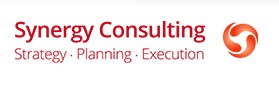 Company Logo For Synergy Consulting Group'