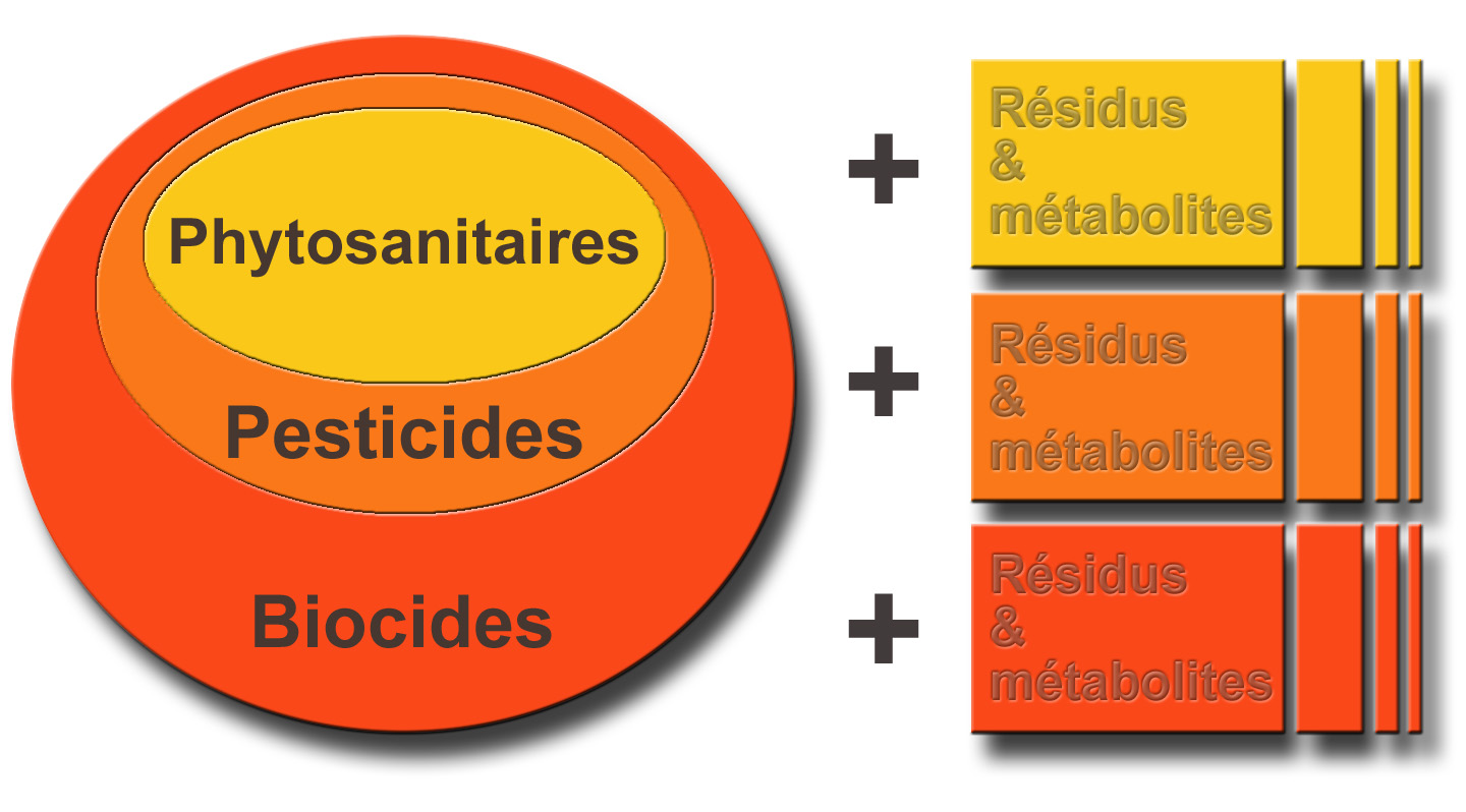 Biocides market analysis for 2018 explored in latest researc'