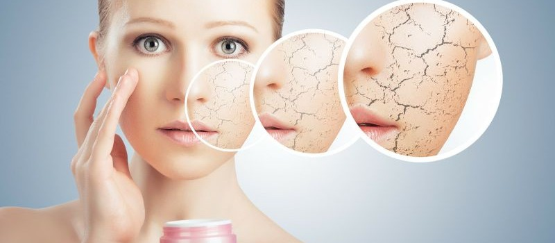 Cosmetic Skin Care Market