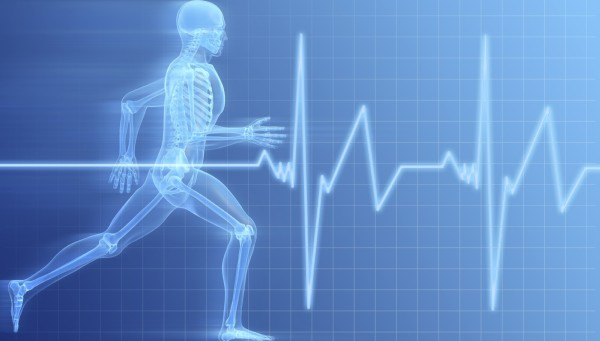 Global   Digital Fitness Market 2018 Size, Revenue, Statisti'
