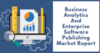 Business Analytics And Enterprise Software Publishing Market