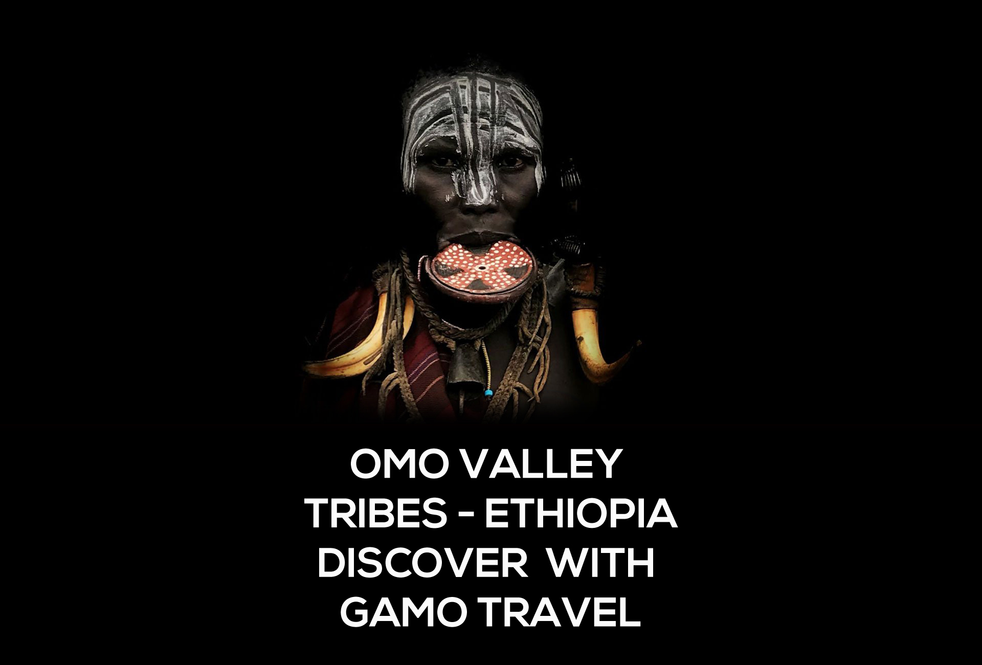 Company Logo For Gamo Travel'