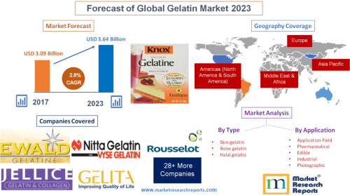 Forecast of Global Gelatin Market 2023'