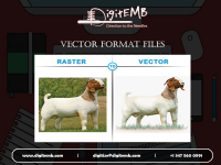 Vector Format Files Logo