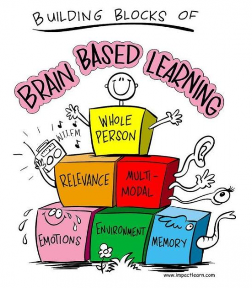 Brain Based Learning Market'