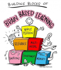 Brain Based Learning Market