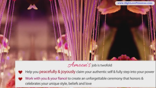 Wedding Ceremony Officiant'