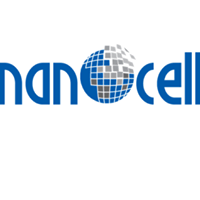 NanoCell Networks Pvt Ltd Logo