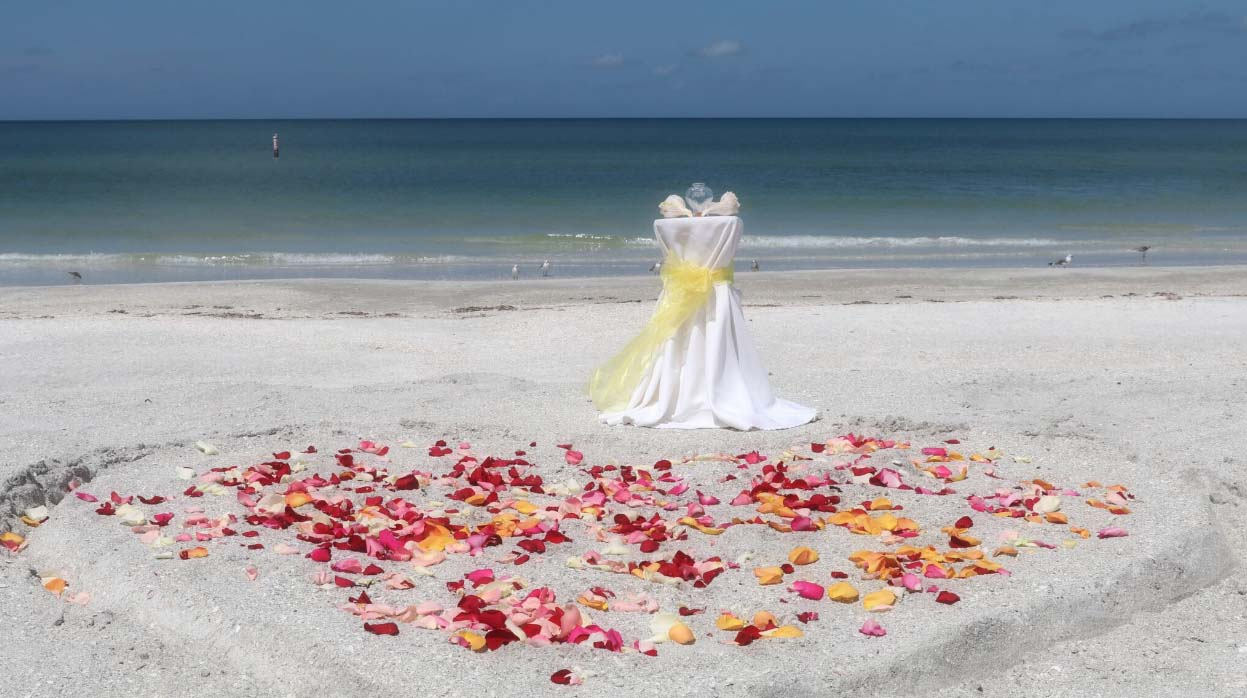 Small Beach Wedding Packages'