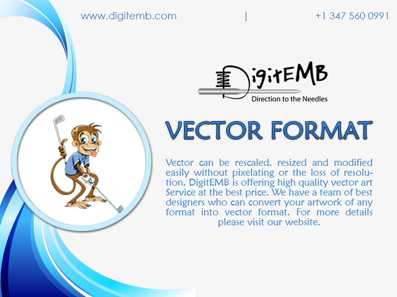 Vector Format'