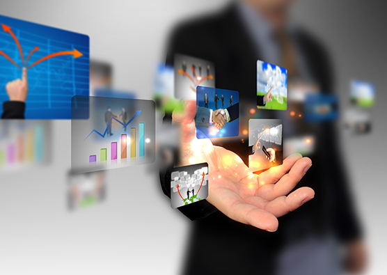 IT Consulting Services'