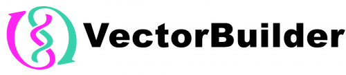 VectorBuilder logo'