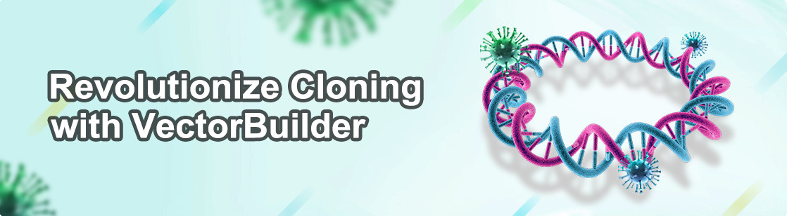 Revolutionize Cloning With VectorBuilder