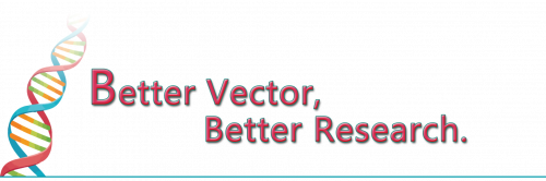 Better Vector Better Research VectorBuilder'