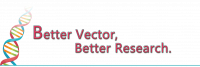Better Vector Better Research VectorBuilder