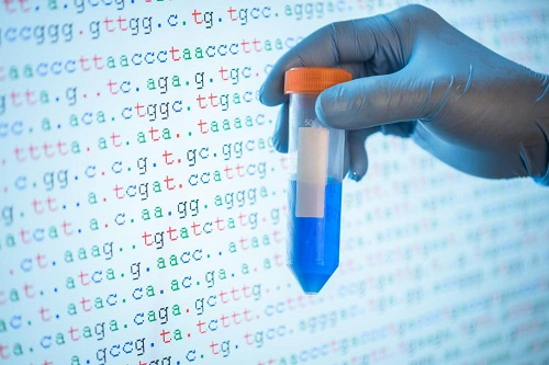 Genetic Fortune Telling'