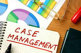 Legal Case Management Software Market'