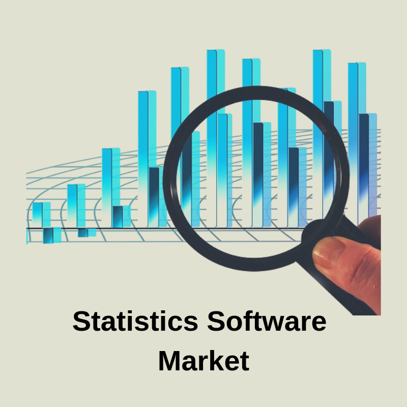 Statistics Software Market'