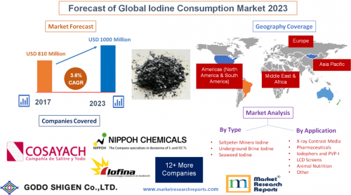 Forecast of Global Iodine Consumption Market 2023'