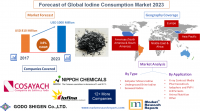 Forecast of Global Iodine Consumption Market 2023
