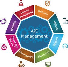 API Management Platforms'