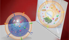 Synthetic Stem Cell Market