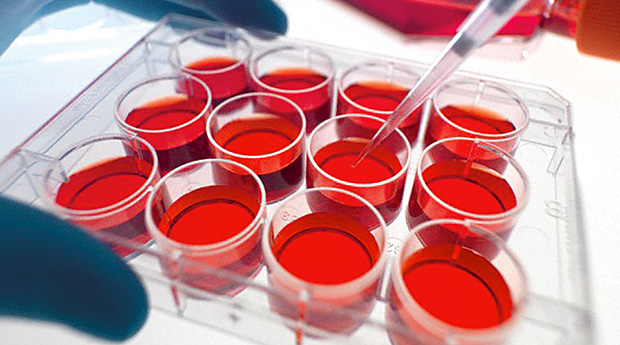 Cell Culture Media Market