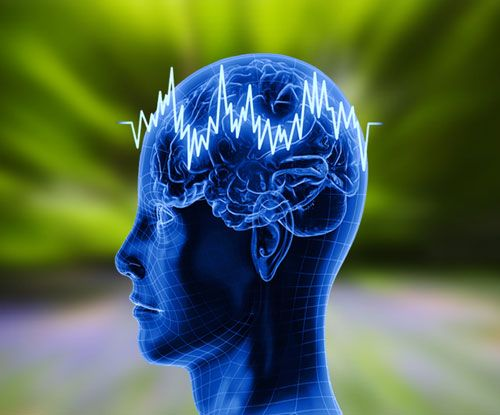 Brain fingerprinting Market