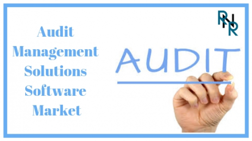 Audit Management Solutions Software Market'