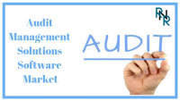 Audit Management Solutions Software Market