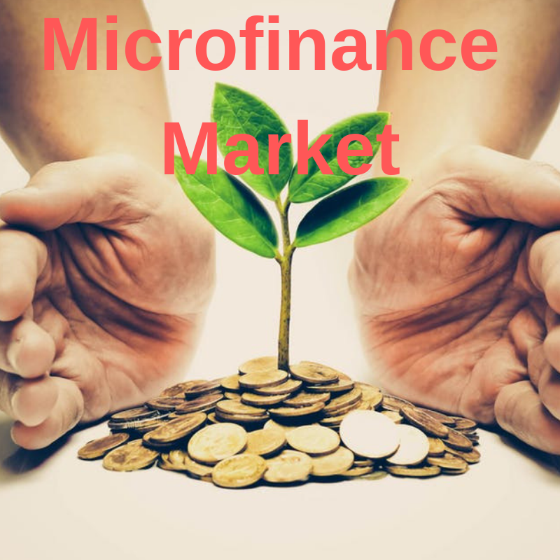 Microfinance Market'