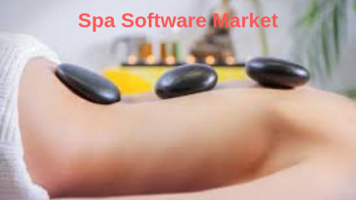 Spa Software Market'