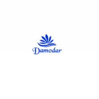 Damodar Perforators Logo