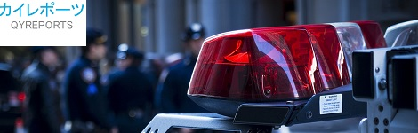 Homeland Security Services Market