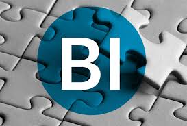Business Intelligence (BI) And Analytics Platforms'