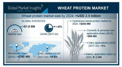 Wheat Protein Market'