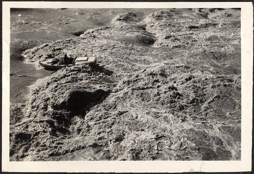 Boatman Frank B. Dodge attempts to best one of the most diff