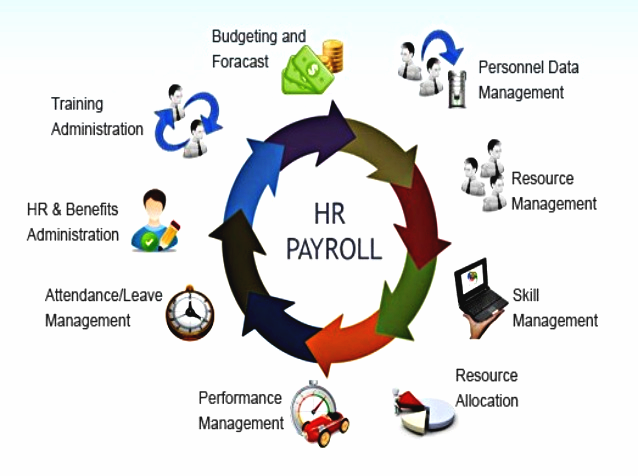 Payroll & HR Solutions Management