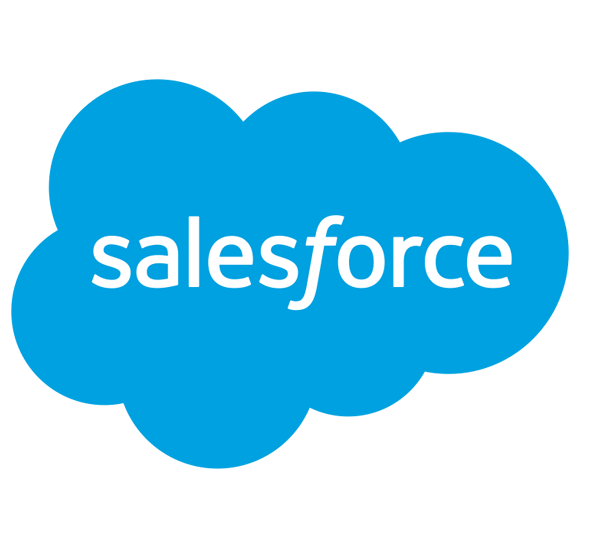 Salesforce Users Email list'